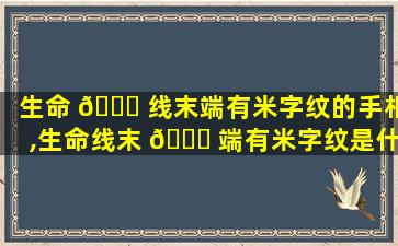 生命 🐛 线末端有米字纹的手相,生命线末 🐞 端有米字纹是什么意思